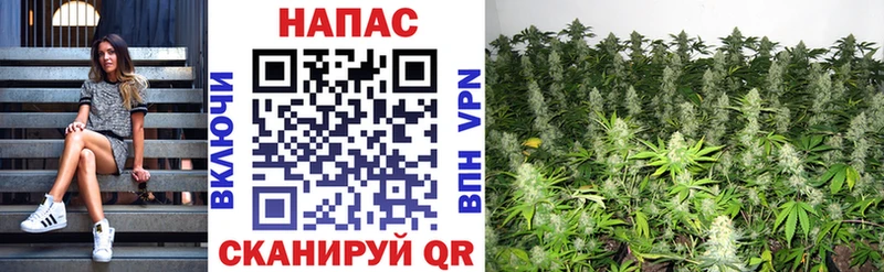 Купить закладки  Адыгейск  Шишки марихуана гибрид 